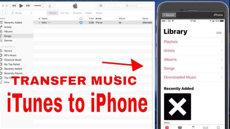 How to Transfer Music from One iPhone to Another: A Detailed Guide with Multiple Views